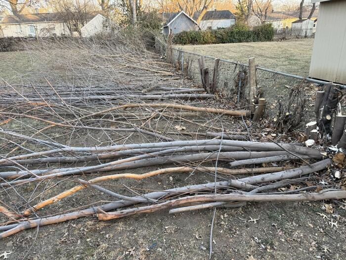 Brush and yard cleanup